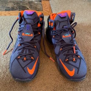 LeBron 12 "Instinct"